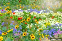 Unlock Your Wildflower Oasis: Pre-Planting Essentials