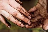 Essential Gardening Hack for Spotless Hands