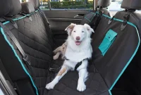 Unlock the Benefits of Dog Hammocks