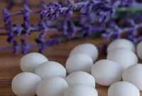 Mothballs for Mouse Control: Fact or Myth