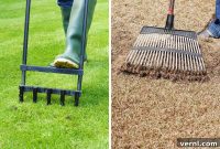 Dethatching Versus Aerating Understanding the Difference