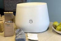 Lomi Composter Review: 24-Hour Food Waste Transformation