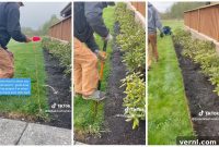 The String Secret to Perfectly Edged Lawns