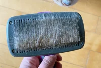 Hertzko Self-Cleaning Slicker Brush: 2024’s Top Pick for Cat Shedding and Grooming