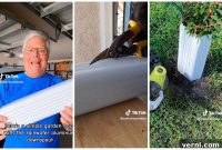 Prevent Plant Damage The Ultimate Weed Wacker Hack
