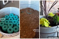 Summer-Proof Your Plants: The Genius Pool Noodle Planter Trick