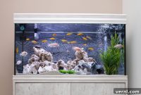 Lowering Aquarium pH: 5 Smart Moves for a Balanced Tank
