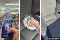 Dollar Tree Car Seat Stain Savior