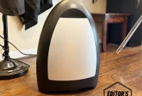 EyeVac Home Vacuum: Editor-Approved for Stubborn Pet Hair and Floor Dirt