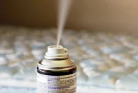 Is Bug Bomb Residue a Hidden Health Risk