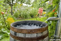 Rainwater Harvesting for Beginners