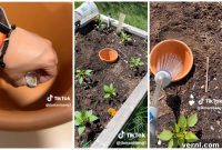 Simple Trick for Hands-Free Garden Hydration All Summer