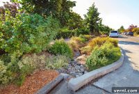 Bioswales Demystified