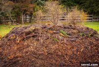 Hugelkultur vs. Traditional Beds: Choosing Your Garden’s Champion