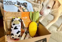 Barkbox Super Chewer 2024: Is It Still Worth Every Bite