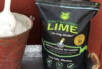 Why First Saturday Lime Insect Repellent Became Shark Tank’s New Obsession