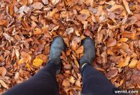 Mower-Free Leaf Mulching Techniques