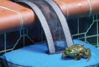 FrogLog Pool Ramp: A Lifeline for Wildlife
