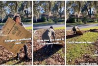 Ditch the Rake Grab a Box Effortless Leaf Cleanup