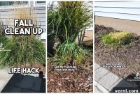 Unlock Effortless Ornamental Grass Trimming with a Simple Zip Tie
