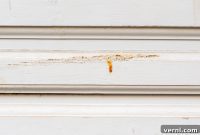 Banish Garage Door Rust