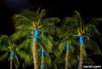 Palm Tree Christmas Lights: Festive Fun or Fire Hazard