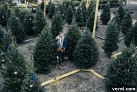The True Cost of a Fresh Christmas Tree