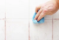 Pink Bathroom Mold’s Unexpected Origins