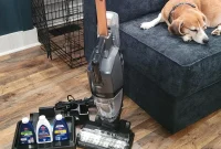 Bissell HydroSteam Plus: Put to the Pet Mess Test