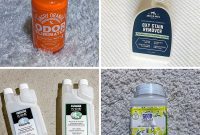 Banish Pet Odors: Our Editor’s Top 4 Eliminators for Every Corner