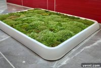 Living Moss Rug Your Eco Friendly Comfort