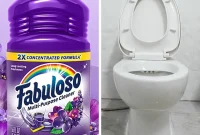 Does Fabuloso in the Toilet Tank Actually Work