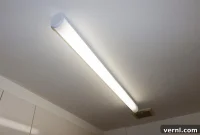 Fluorescent Lighting: The Science Behind the Glow