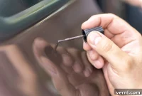Paint Correction: Your Path to a Flawless Finish