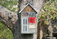 Create a Thriving Garden with Bee and Butterfly Hotels