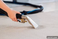 Immediate Action for a Wet Basement Carpet