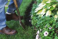 Mulch Your Way to a Plastic-Free Garden Edge