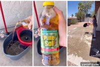 Pine-Sol TikTok Hack: Fact or Fiction for Fly-Free Porches