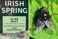 The Truth About Irish Spring Soap and Mosquitoes Expert Perspectives