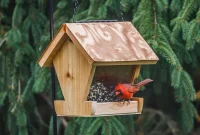 Build a Backyard Bistro for Your Feathered Friends