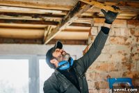Termite Inspections: Your Guide to Hiring an Expert