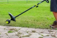 Ryobi Cordless String Trimmer The Full String of Details