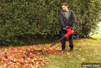 Effortless Yard Perfection: Craftsman’s 2-in-1 Backpack Blower Delivers