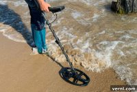 Nokta Metal Detector Editor Verified Gold Discovery