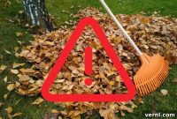 Your Leaf Pile’s Dark Secrets
