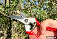Felco Pruners Tested And Proven For Impeccable Cuts