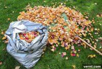 Revolutionize Your Leaf Bagging with This Simple Hack