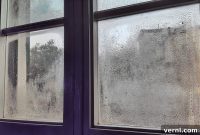 Prevent Window Condensation with This Simple Trick