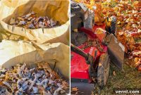 Mulching vs. Bagging: What to Do With Your Fall Leaves?