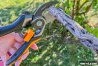Fiskars Pruners: Our Verdict on Value and Performance